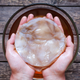 It’s SCOBY.